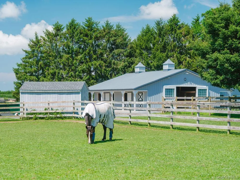 1810 Main Road Jamesport, NY 11947