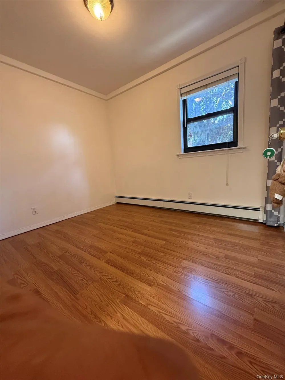 316 121st Street #72A College Point, NY 11356