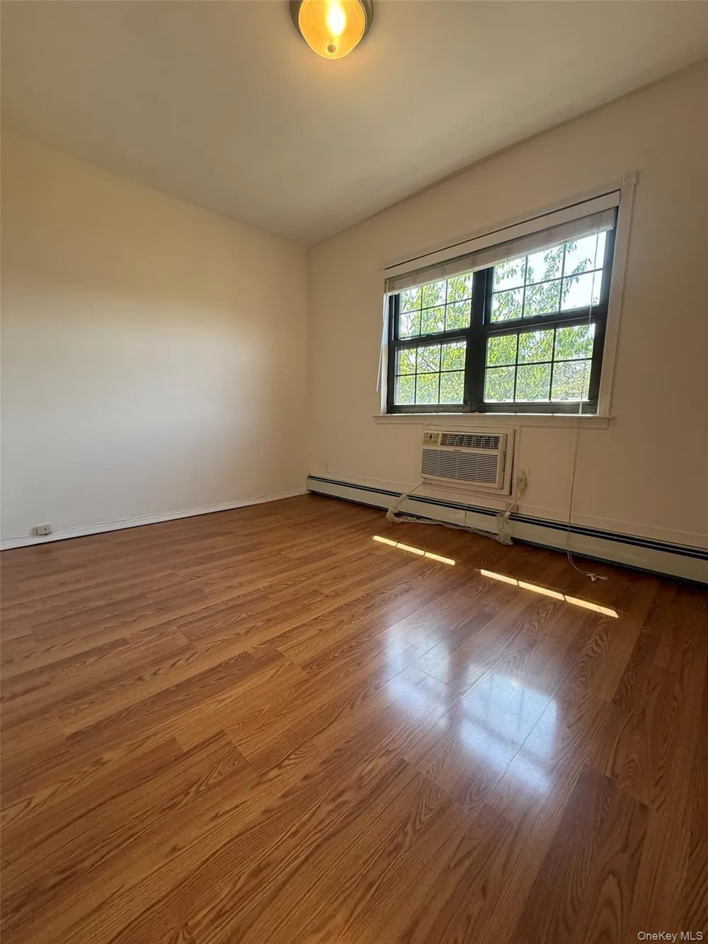 316 121st Street #72A College Point, NY 11356