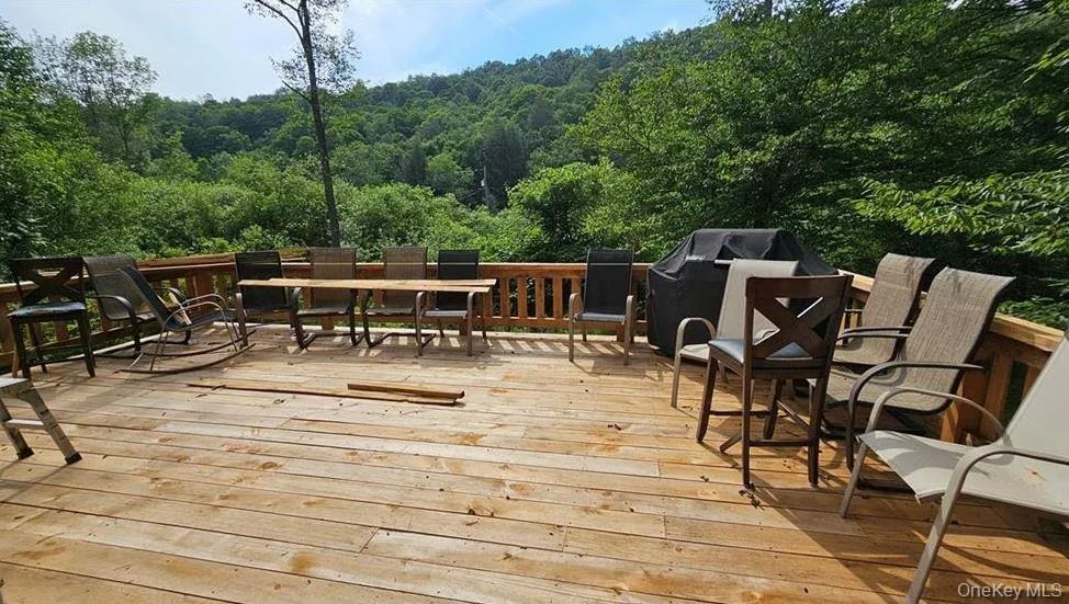 9003 County Hwy 28 Long Eddy, NY 12760