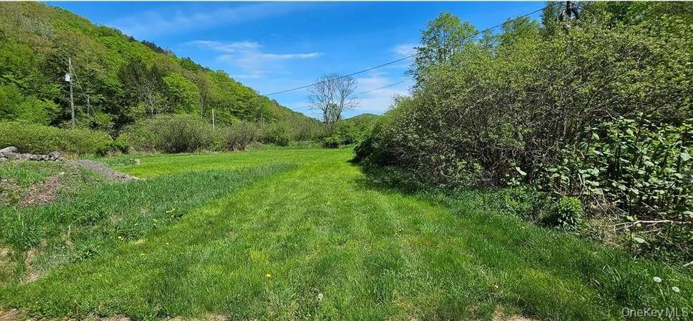 9003 County Hwy 28 Long Eddy, NY 12760