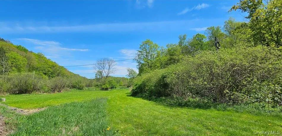 9003 County Hwy 28 Long Eddy, NY 12760