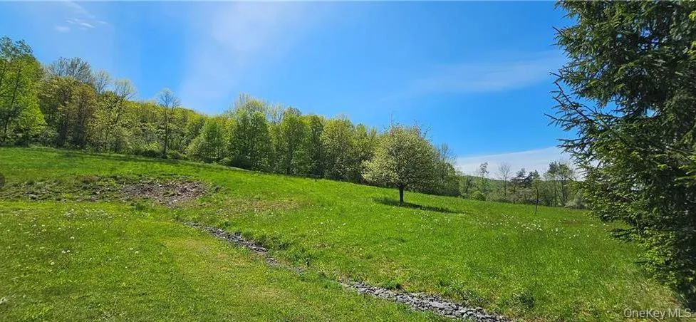 9003 County Hwy 28 Long Eddy, NY 12760