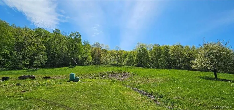 9003 County Hwy 28 Long Eddy, NY 12760