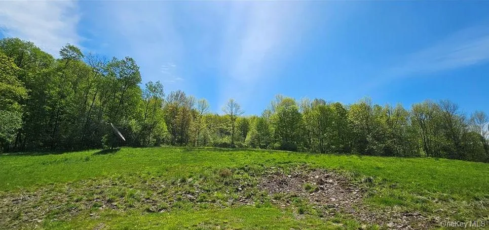 9003 County Hwy 28 Long Eddy, NY 12760