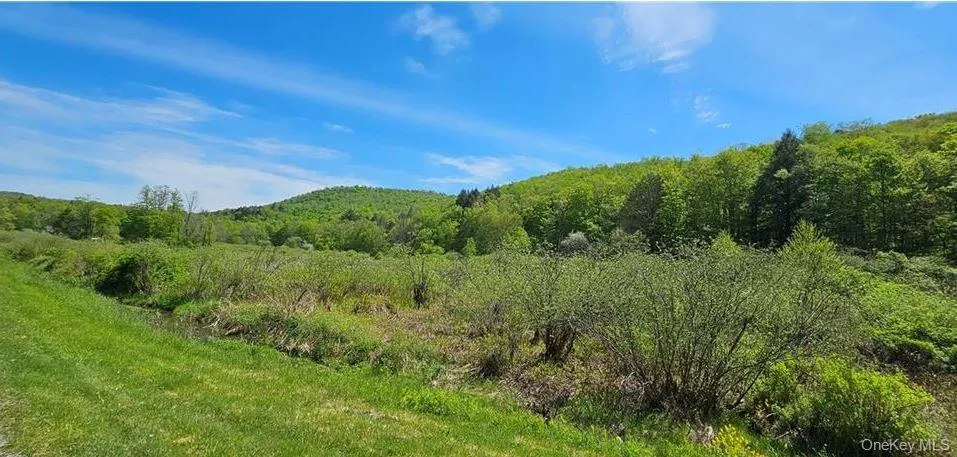 9003 County Hwy 28 Long Eddy, NY 12760