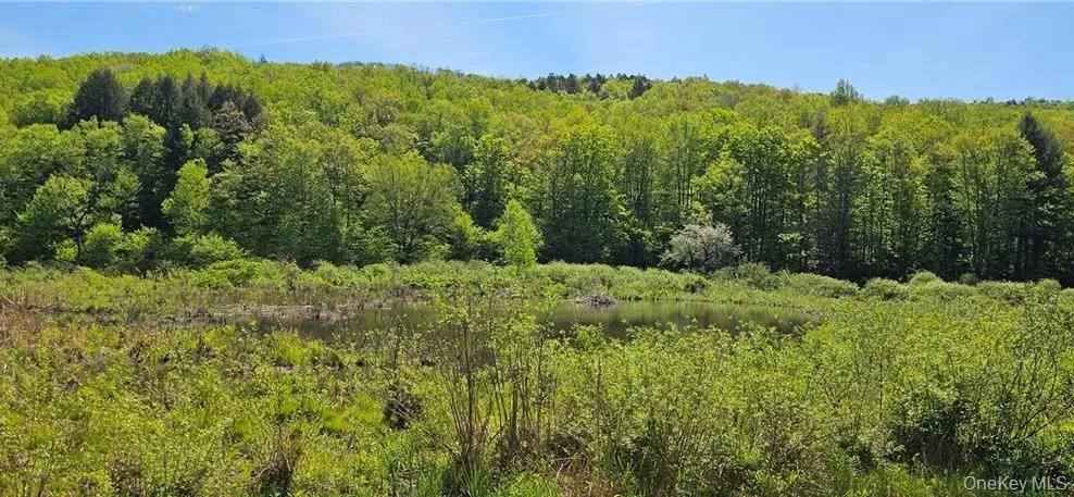 9003 County Hwy 28 Long Eddy, NY 12760
