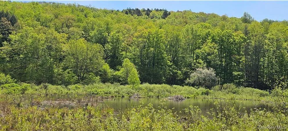 9003 County Hwy 28 Long Eddy, NY 12760