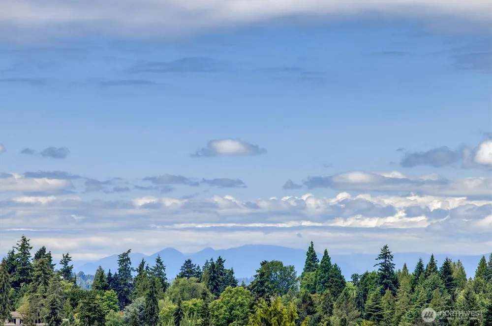 8900 NE 16th Street Clyde Hill, WA 98004