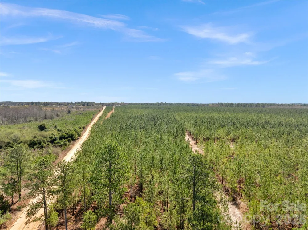 931 Charlie Johnson Road #3 Kershaw, SC 29067