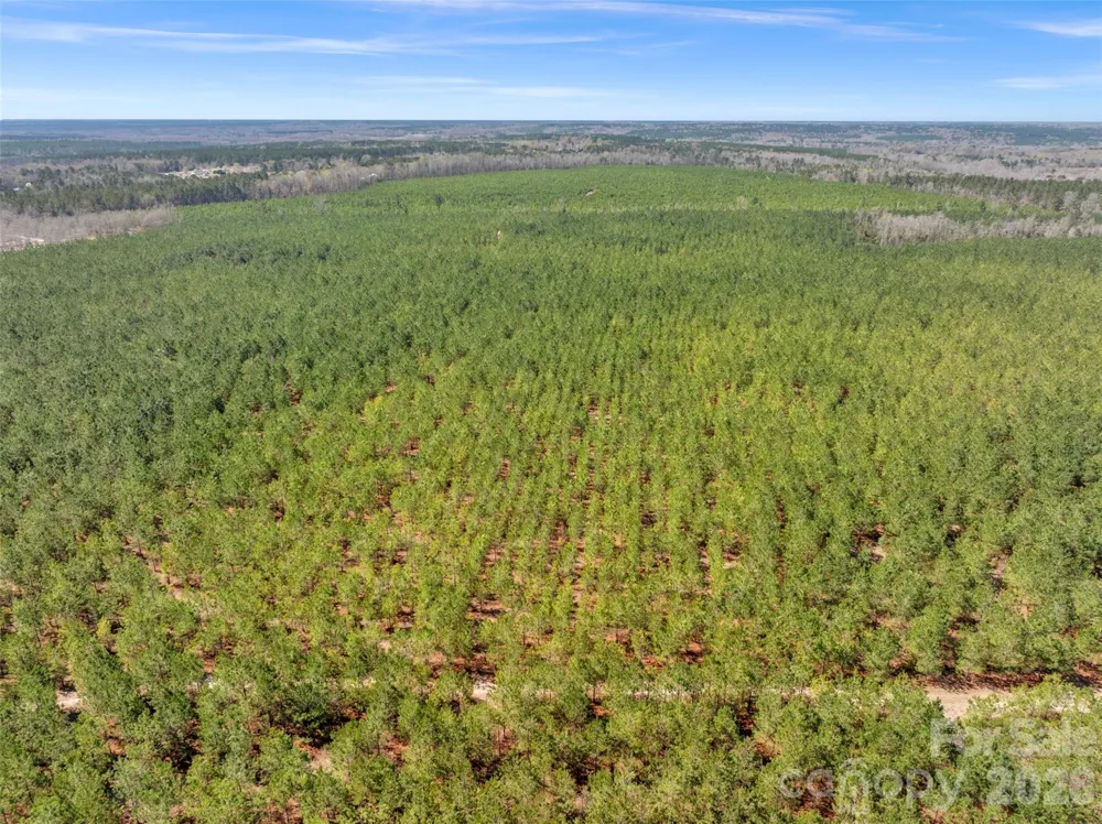 931 Charlie Johnson Road #3 Kershaw, SC 29067