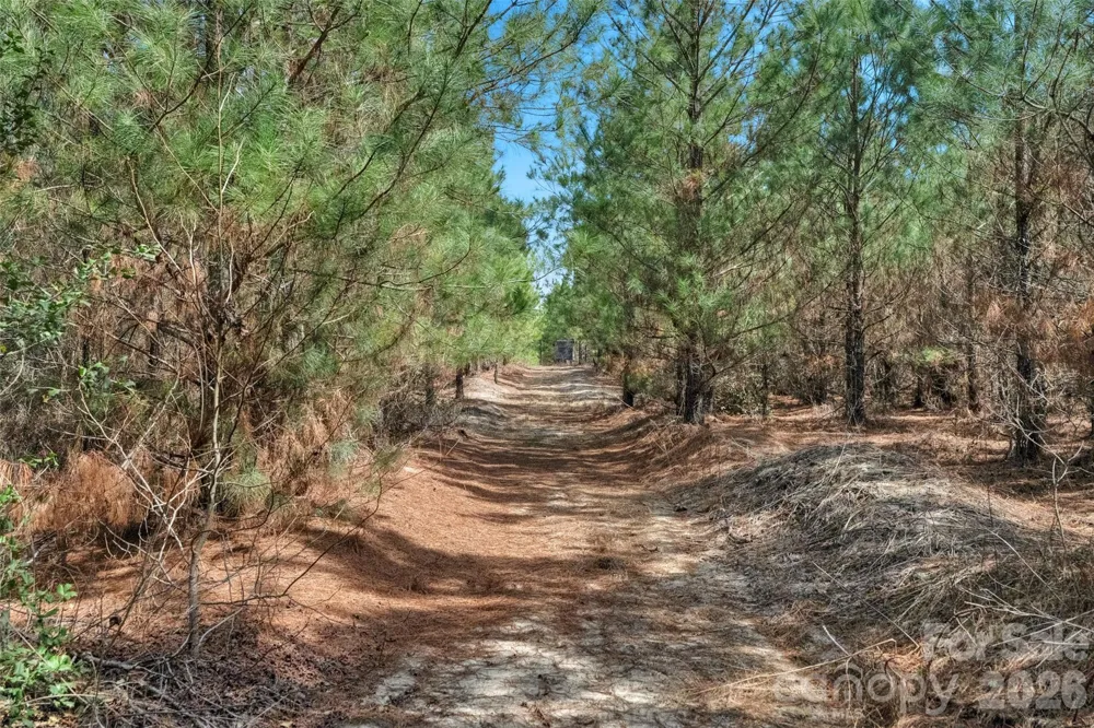 931 Charlie Johnson Road #3 Kershaw, SC 29067