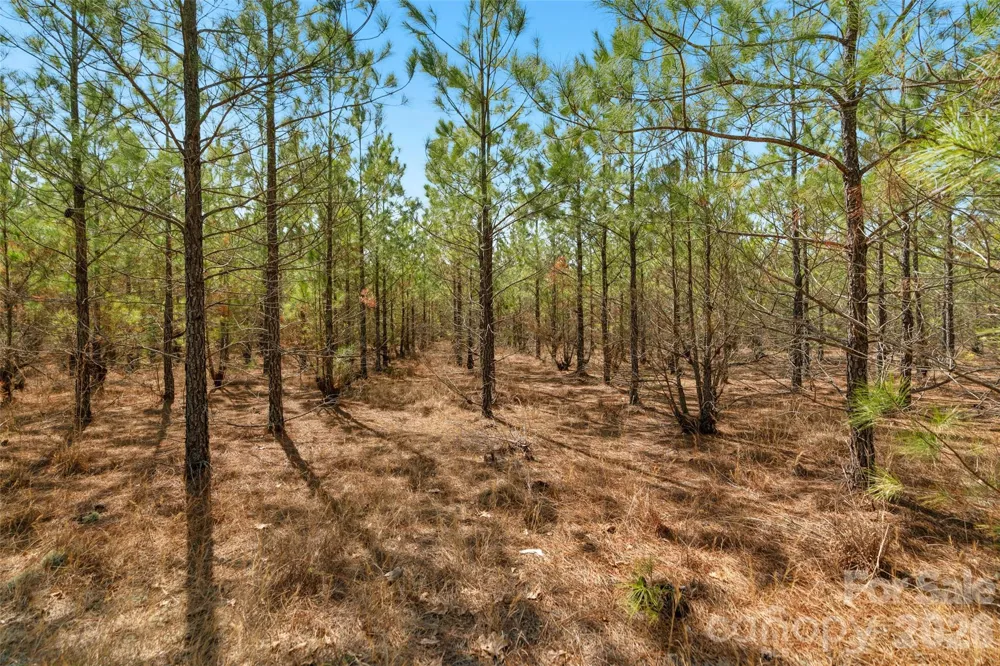 931 Charlie Johnson Road #3 Kershaw, SC 29067