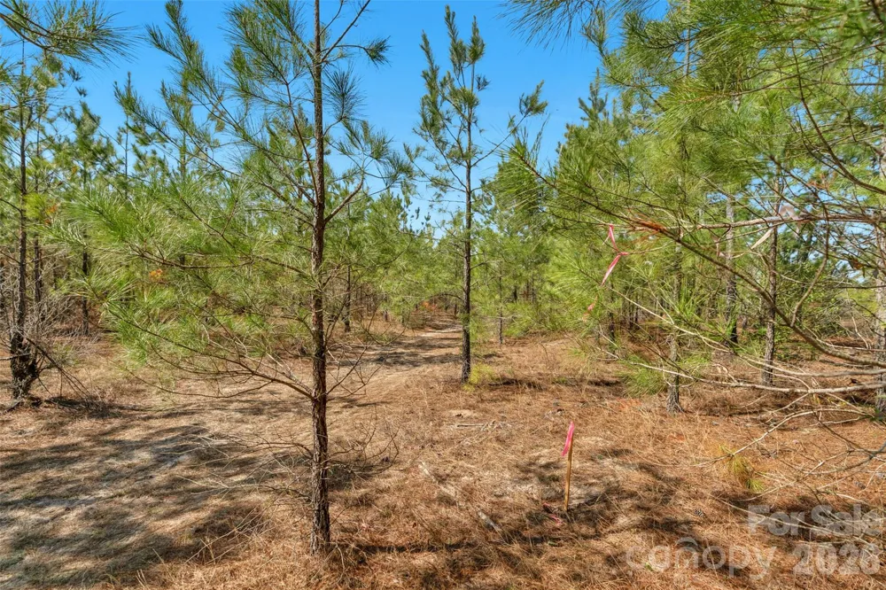 931 Charlie Johnson Road #3 Kershaw, SC 29067