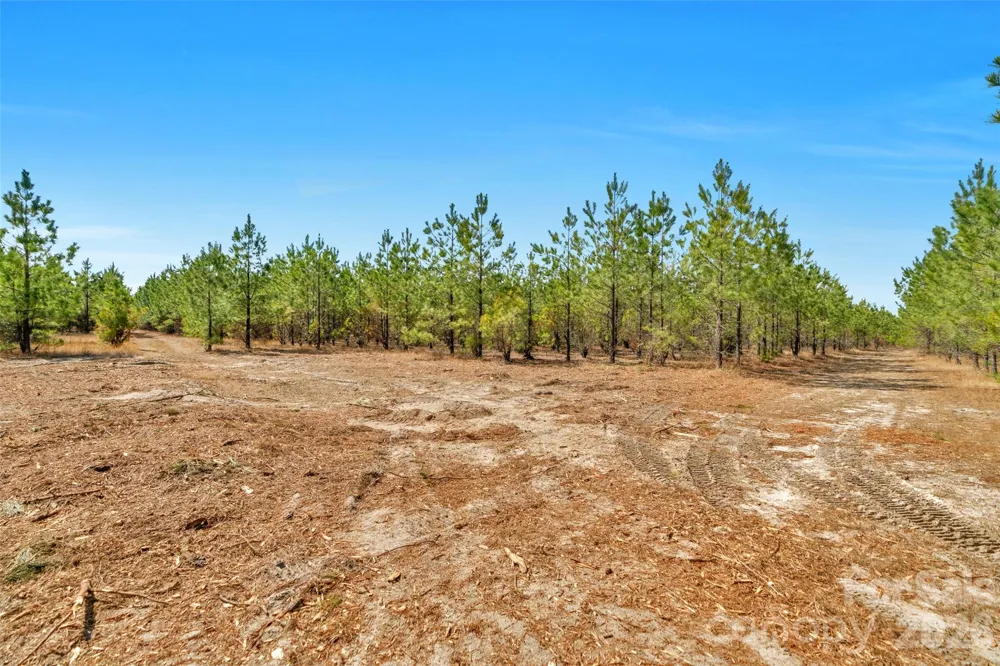 931 Charlie Johnson Road #3 Kershaw, SC 29067