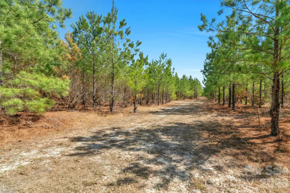 931 Charlie Johnson Road #3 Kershaw, SC 29067