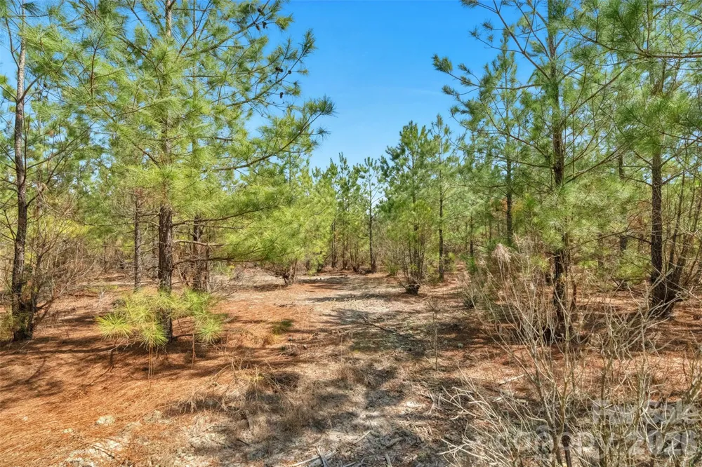 931 Charlie Johnson Road #3 Kershaw, SC 29067