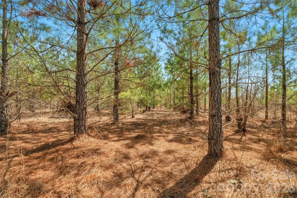 931 Charlie Johnson Road #3 Kershaw, SC 29067