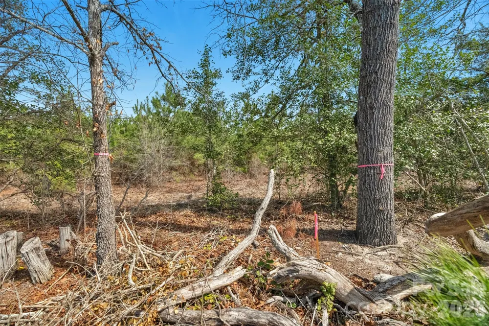 931 Charlie Johnson Road #3 Kershaw, SC 29067