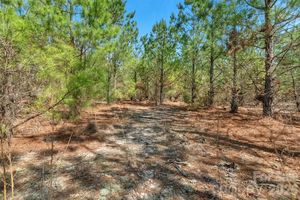 931 Charlie Johnson Road #3 Kershaw, SC 29067