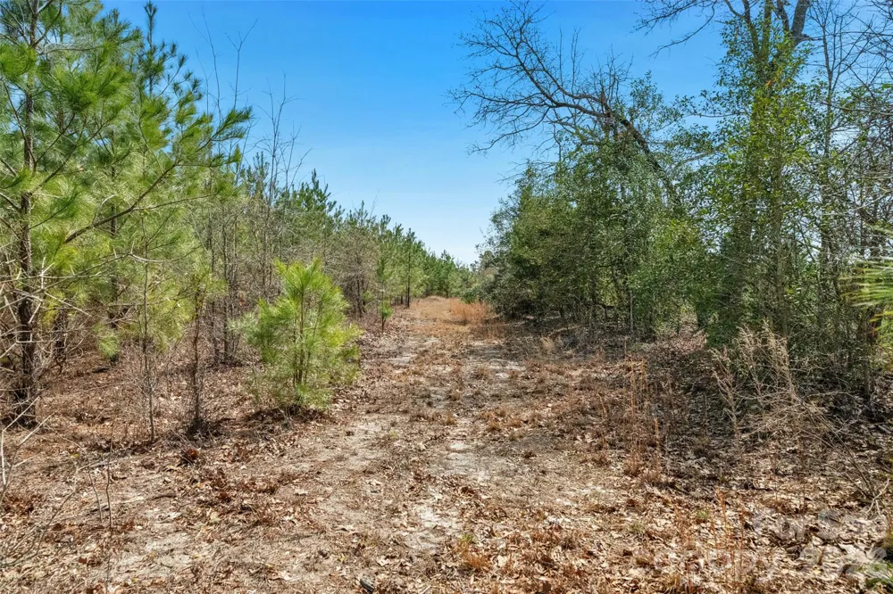 931 Charlie Johnson Road #3 Kershaw, SC 29067