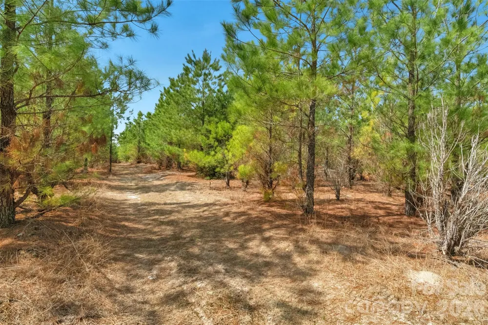 931 Charlie Johnson Road #3 Kershaw, SC 29067