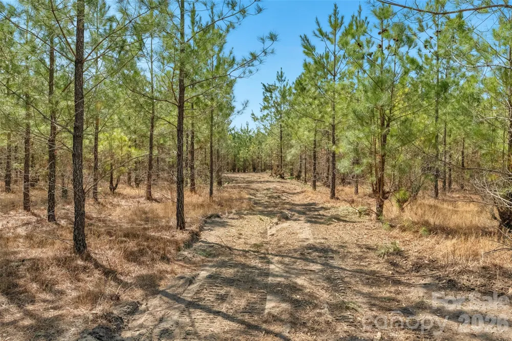 931 Charlie Johnson Road #3 Kershaw, SC 29067