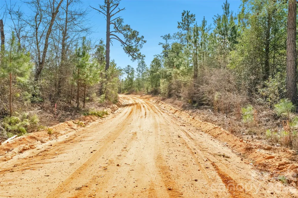 931 Charlie Johnson Road #3 Kershaw, SC 29067