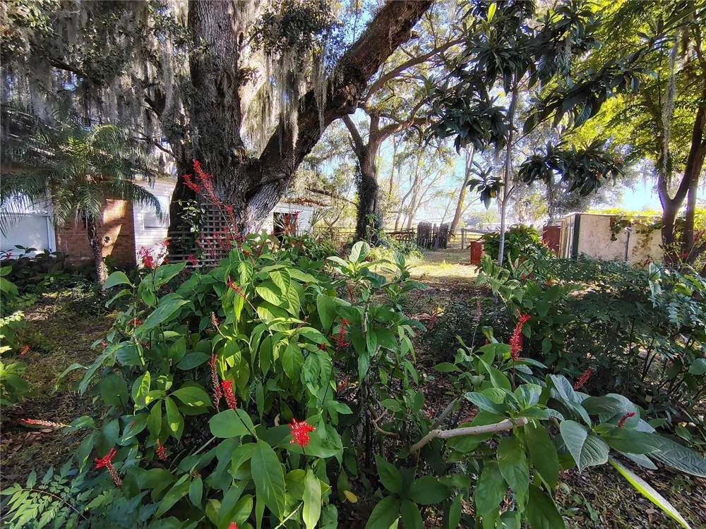 3537 E C 462 Wildwood, FL 34785