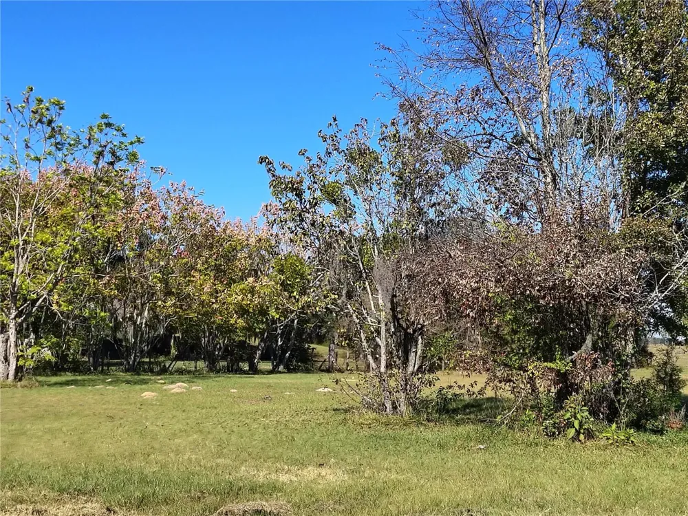 3537 E C 462 Wildwood, FL 34785