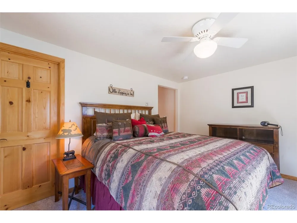 272 Coil Drive Fairplay, CO 80440