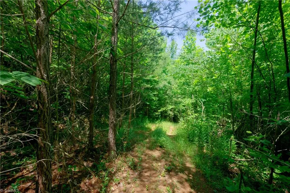 0 US Highway 601 Yadkinville, NC 27055