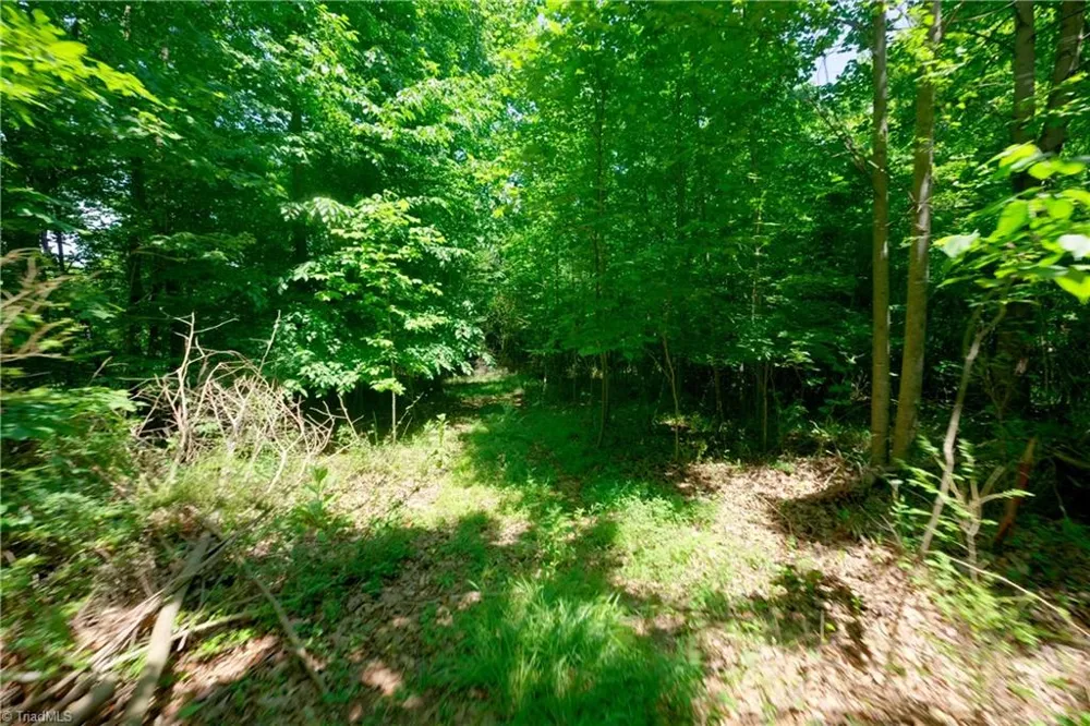 0 US Highway 601 Yadkinville, NC 27055