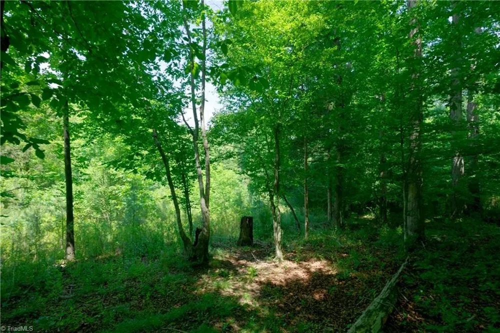 0 US Highway 601 Yadkinville, NC 27055