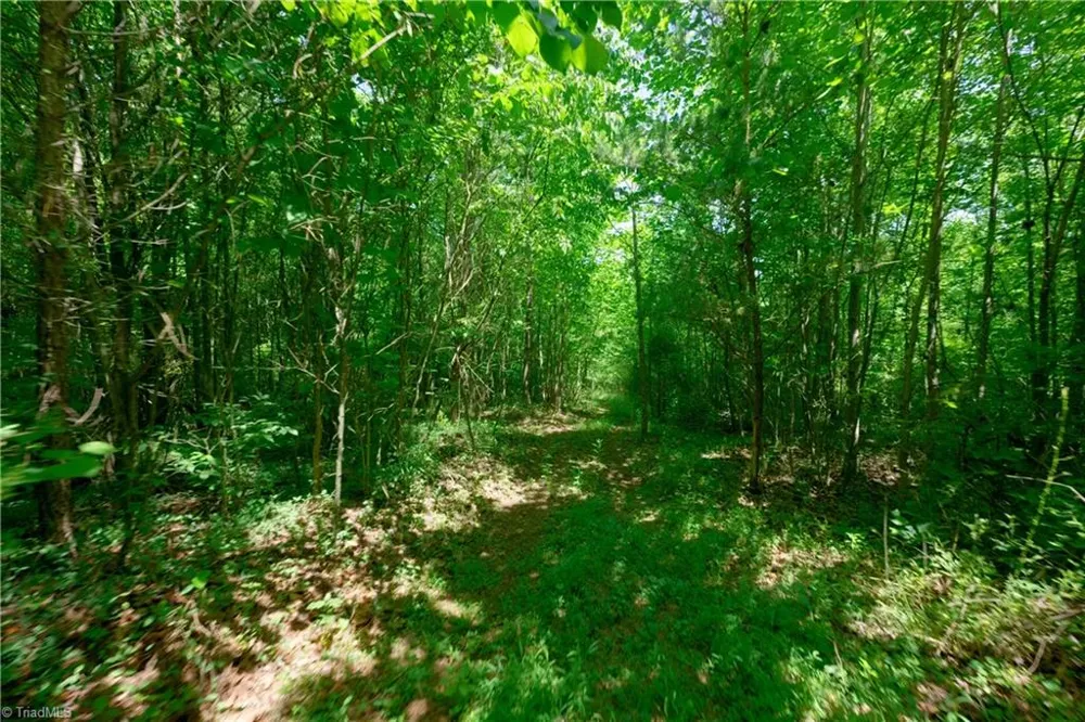 0 US Highway 601 Yadkinville, NC 27055