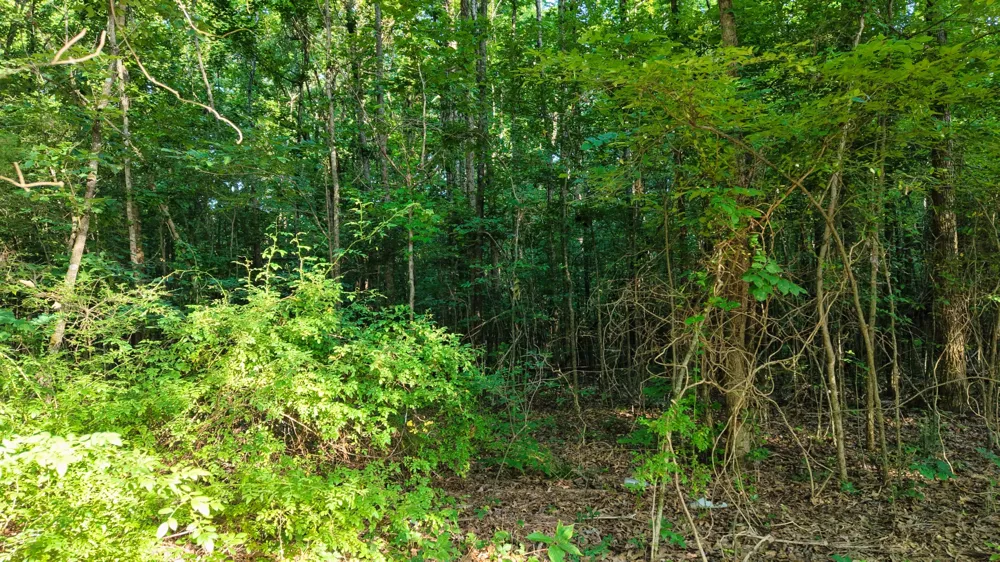 1 Harrell Dr Arlington, TN 38002