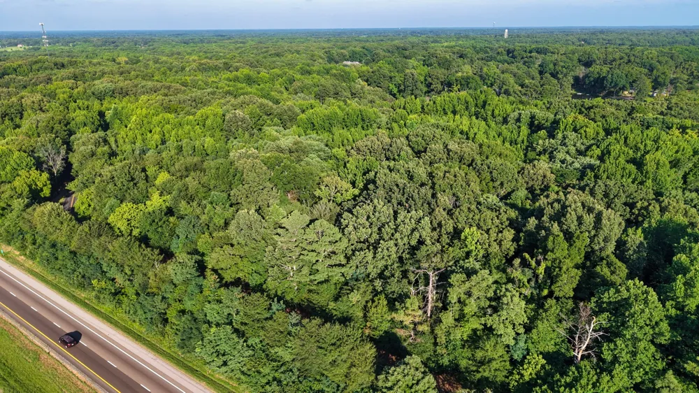 1 Harrell Dr Arlington, TN 38002