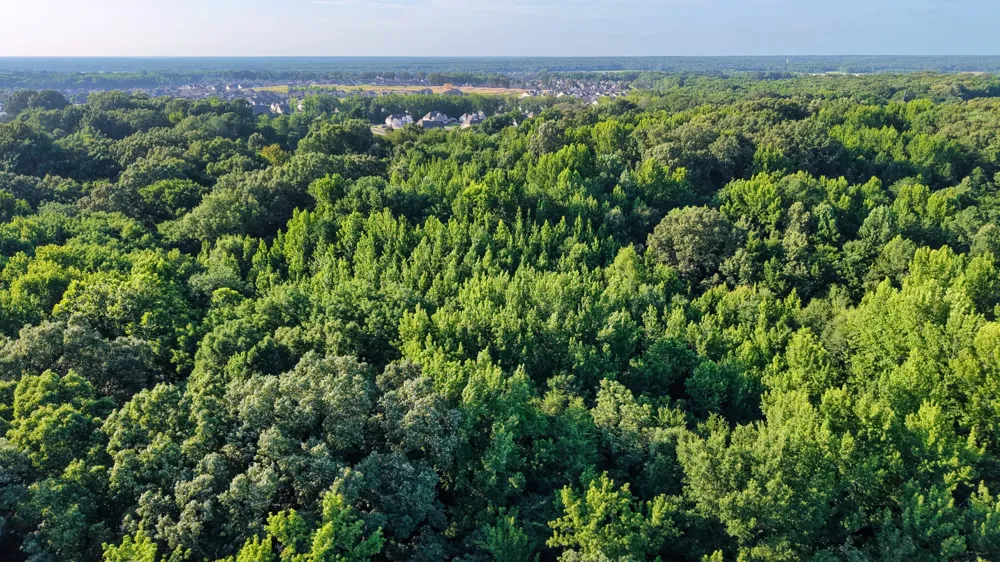 0 Harrell Dr Arlington, TN 38002