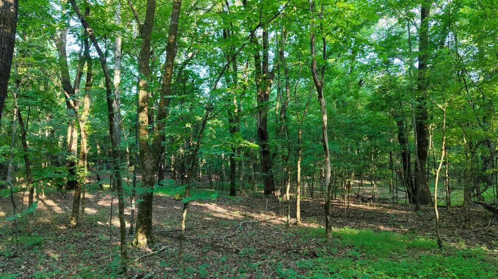 0 Harrell Dr Arlington, TN 38002