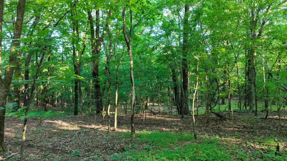 0 Harrell Dr Arlington, TN 38002