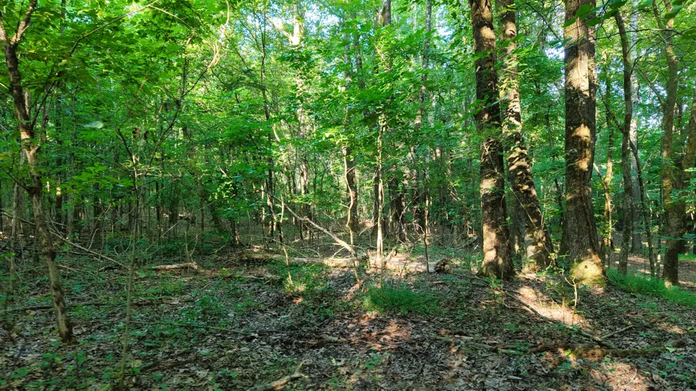 0 Harrell Dr Arlington, TN 38002