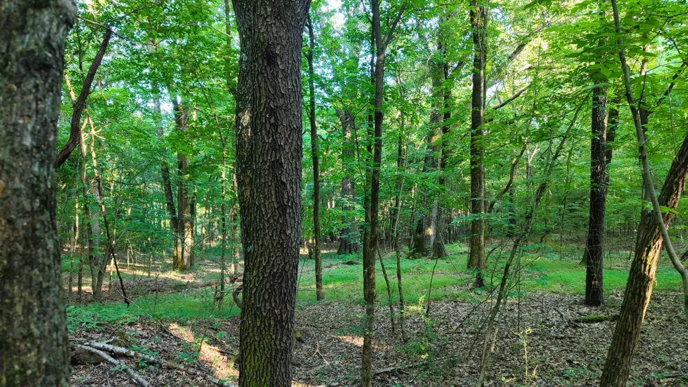 0 E Larry Anderson Ln Arlington, TN 38002