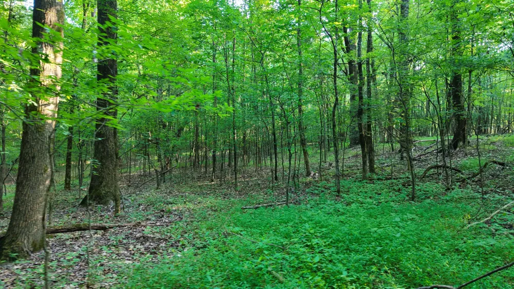 0 E Larry Anderson Ln Arlington, TN 38002