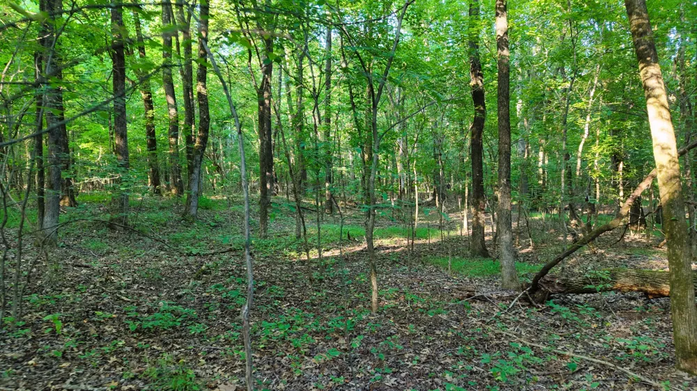 0 E Larry Anderson Ln Arlington, TN 38002