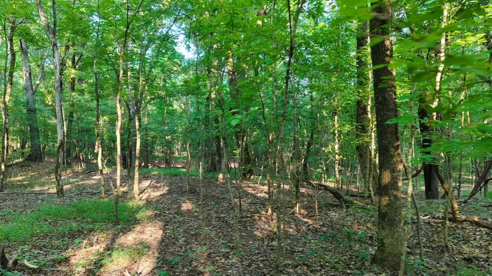 0 E Larry Anderson Ln Arlington, TN 38002