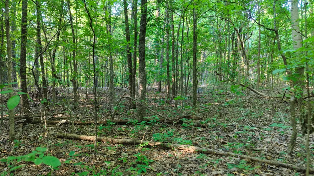 0 E Larry Anderson Ln Arlington, TN 38002