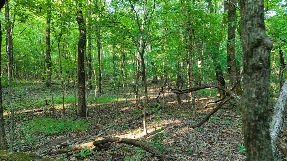 0 E Larry Anderson Ln Arlington, TN 38002