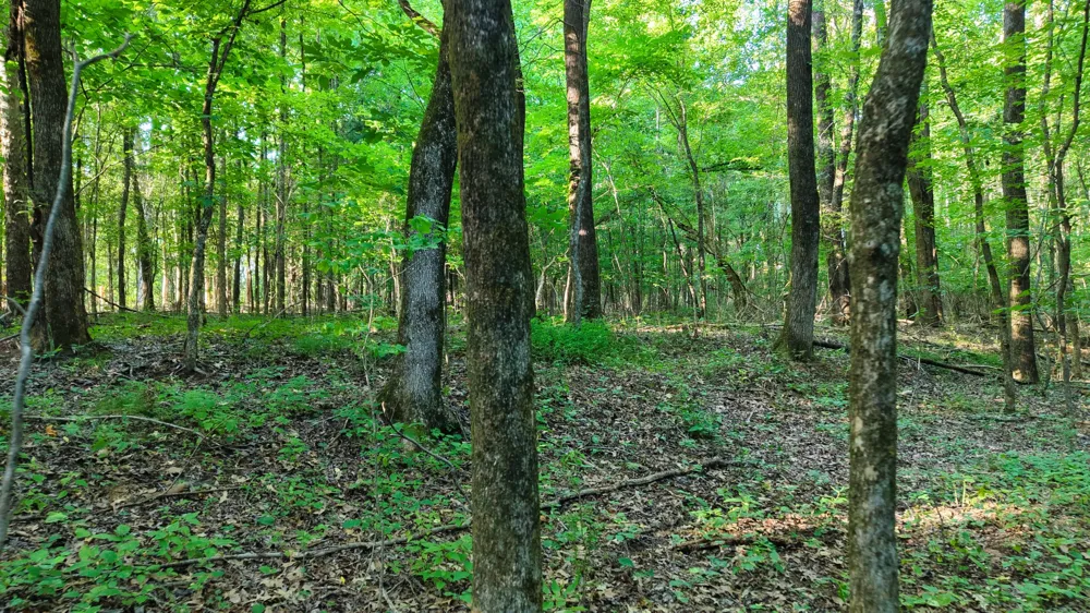 0 E Larry Anderson Ln Arlington, TN 38002