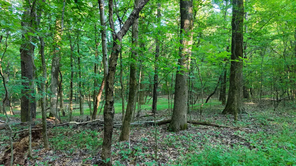 0 E Larry Anderson Ln Arlington, TN 38002