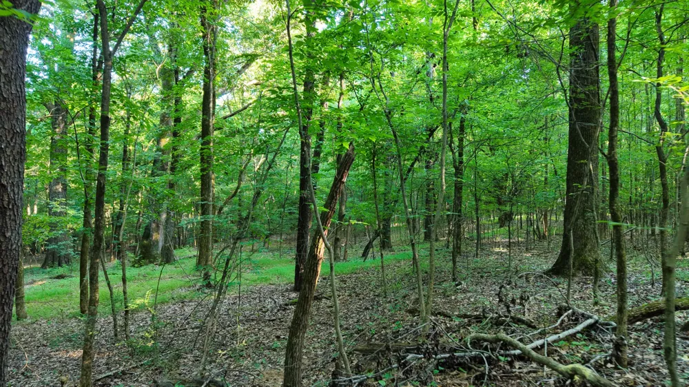 0 E Larry Anderson Ln Arlington, TN 38002